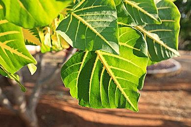 《潜行者2：切尔诺贝利之心》已经实现盈利