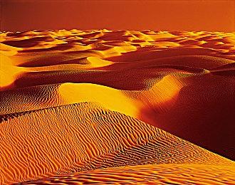 《瘟疫传说：无罪》增强版公布 XSX和PS5支持4K